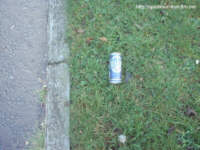 tn_Harp.jpg (6619 bytes)