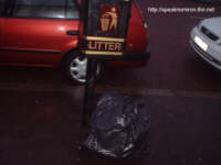 tn_Litter.jpg (4366 bytes)